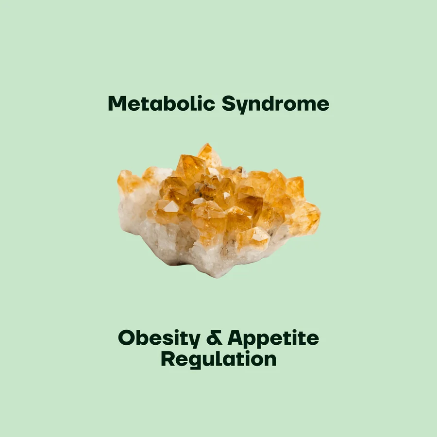 Metabolic syndrome, obesity and appetite regulation